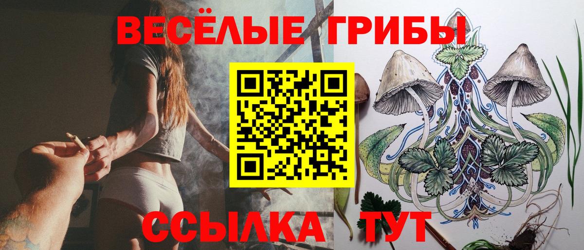 Заводоуковск  Псилоцибиновые грибы MAGIC MUSHROOMS  Вход с VPN 
