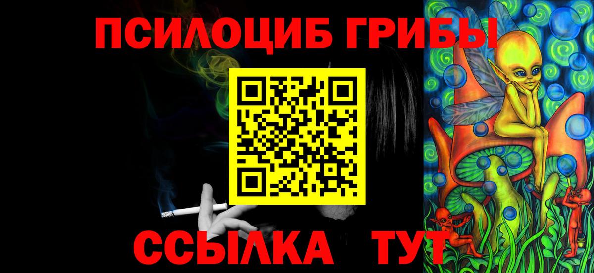Галлюциногенные грибы Psilocybe Заводоуковск